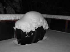 homestead snow-cake
